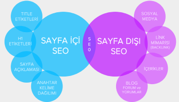 Site İçi & Site Dışı SEO